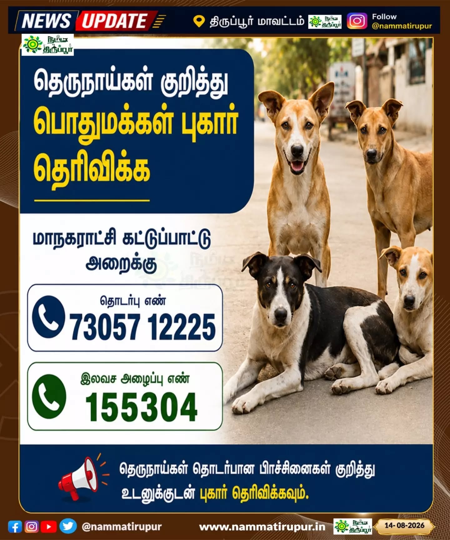 தெருநாய்கள் பிரச்சனை குறித்து புகார் தெரிவிக்கலாம்! 🐕📞